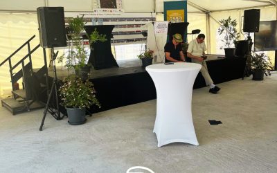 💰 Quel budget prévoir pour une sonorisation professionnelle ? (Guide clair 2025)